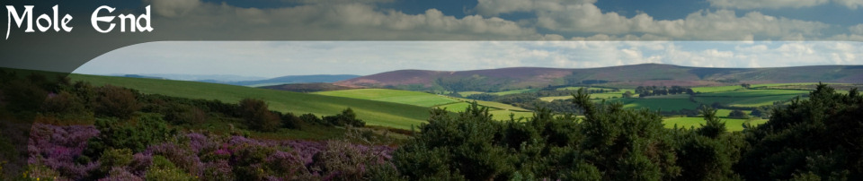 View of Exmoor